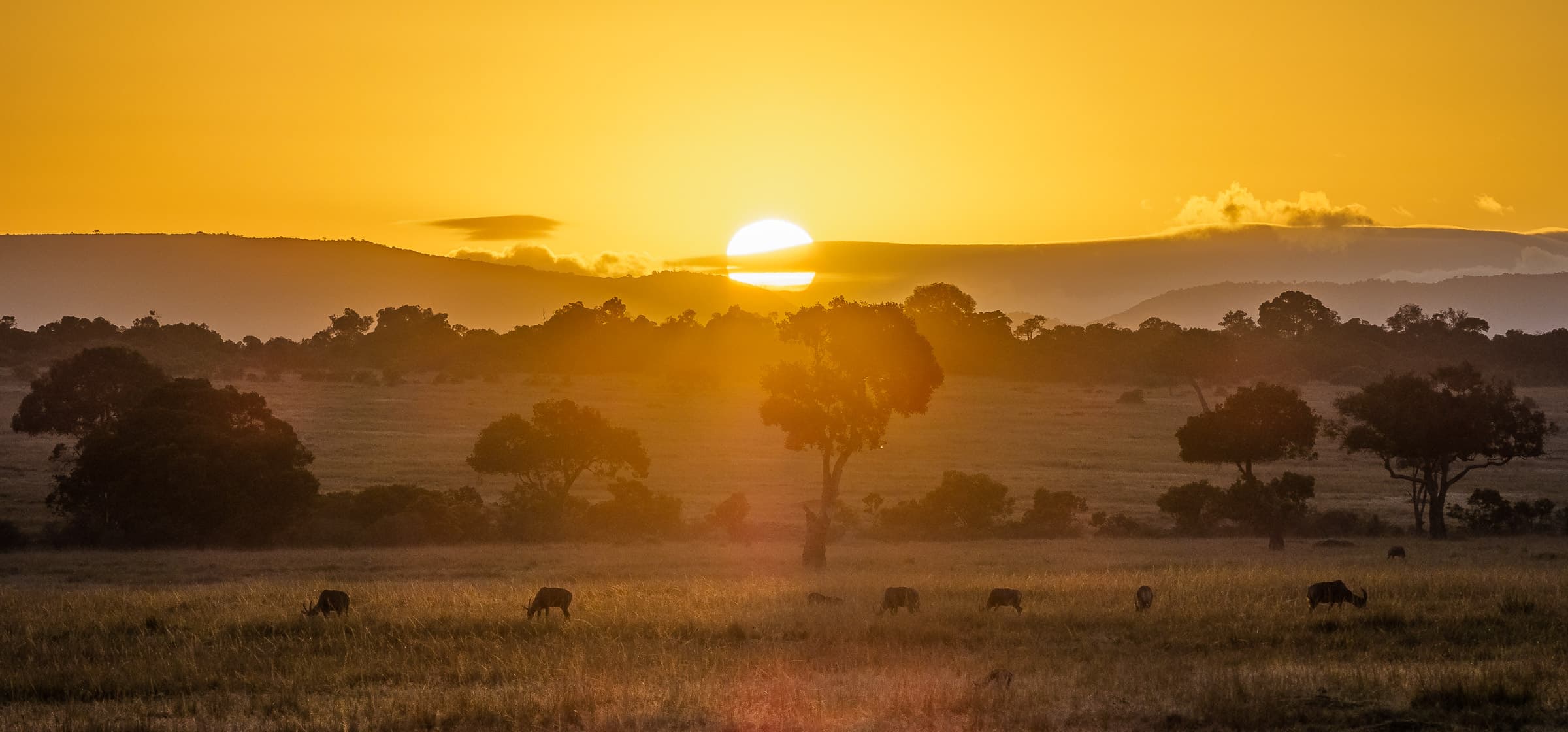 Maasai Mara — photo by Danijel Mihajlovic via Wikimedia Commons